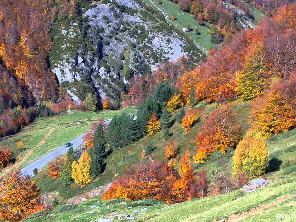 paysage montagne automne hautes pyrenees